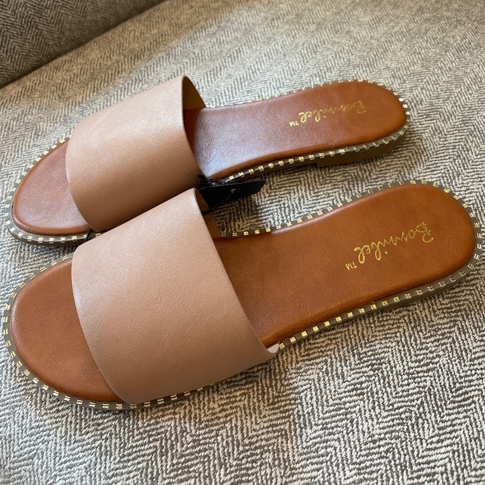 Tan Slides